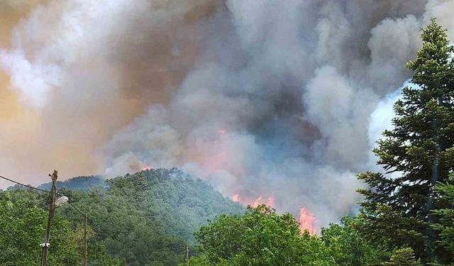 Milas’ta başlayan orman yangını büyüyor
