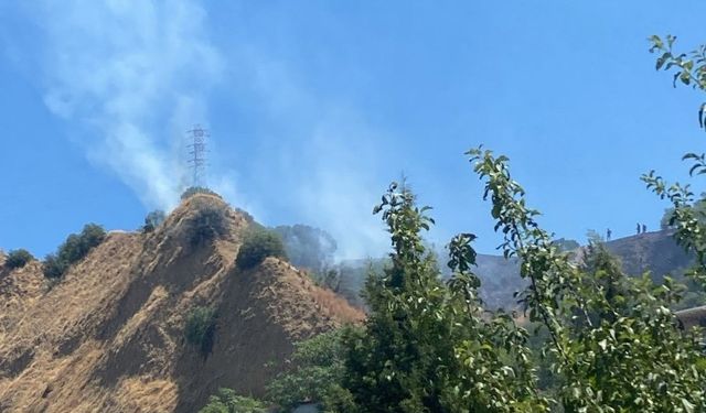Nazilli’deki yangında 1 hektar alan zarar gördü