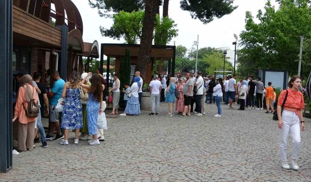 Ordu’da teleferik yoğunluğu