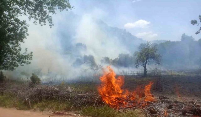 Ormanlık alanda çıkan yangın büyümeden söndürüldü