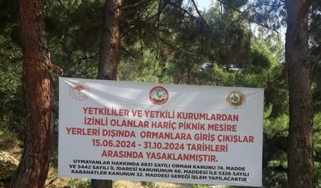 Osmaniye’de ormanlık alanlara girişler yasaklandı