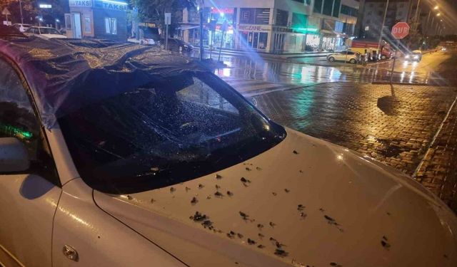 Şiddetli rüzgardan düşen cam otomobile isabet etti
