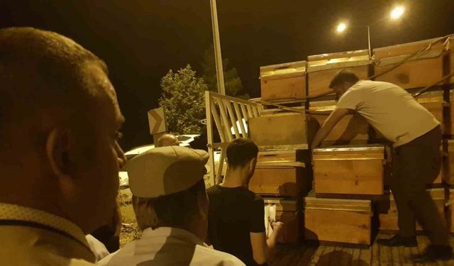Siirt’te 2 bin adet arılı kovan dağıtıldı