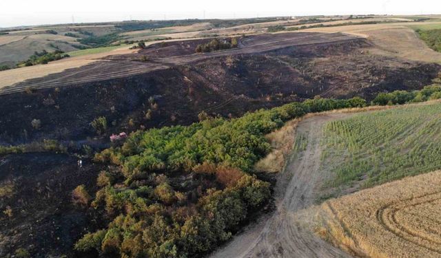 Silivri’de 30 dönümlük buğday tarlası küle döndü