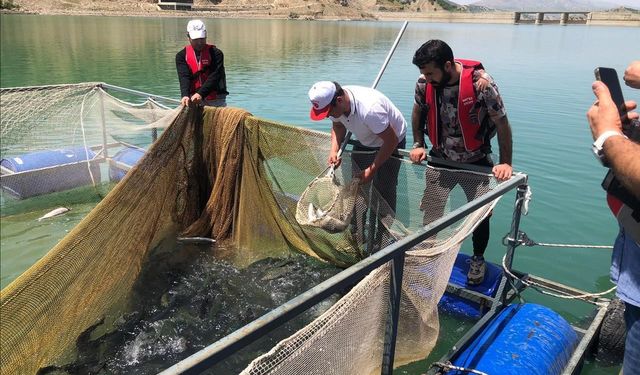 Şırnak Üniversitesi proje kapsamında 25,5 ton balık üretimi yaptı