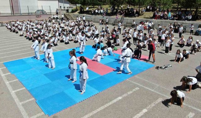 Sivas’ta 450 kişilik karate gösterisi dikkat çekti