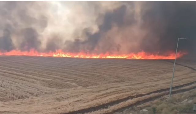 Siverek’te çıkan yangında 100 dönüm arazi ve 200 ton saman kül oldu