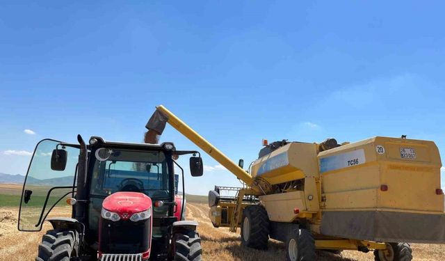 Sivrihisar’da çiftçi dönümden 300 kilogram buğday aldı