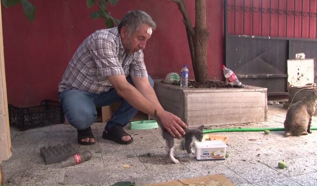 Sokak hayvanlarını beslediği için darp edildi