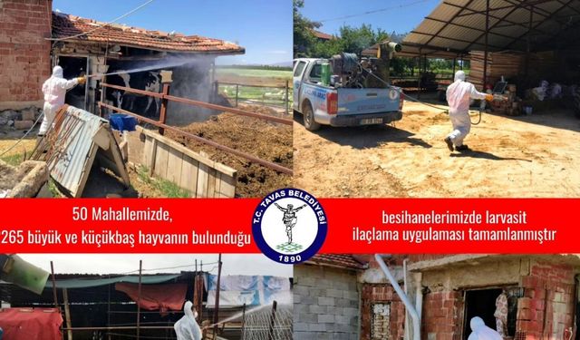 Tavas Belediyesi 50 mahallede 2. tur ilaçlamalarına başladı