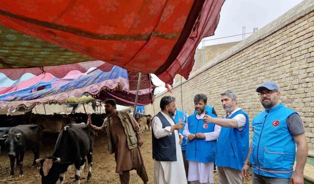 TDV, Afganistan’da 13 bin 300 hisse kurban eti dağıtacak