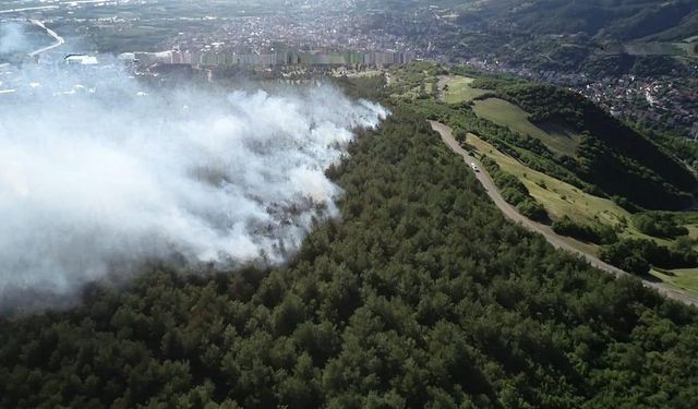 Tokat Valiliği duyurdu: Ormanlara giriş ve her türlü bitki örtüsü yakılması yasaklandı