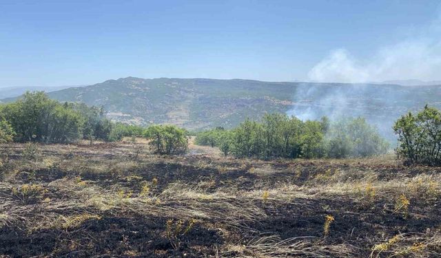 Tunceli’de 3 ayrı bölgede çıkan yangınlardan 2’si söndürüldü, 1’ine müdahale sürüyor