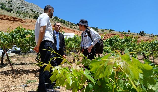 "Türkiye’de Tarıma Dayalı Sanayi’de Rekabet Gücünün Artırılması Projesi" faaliyetleri başladı