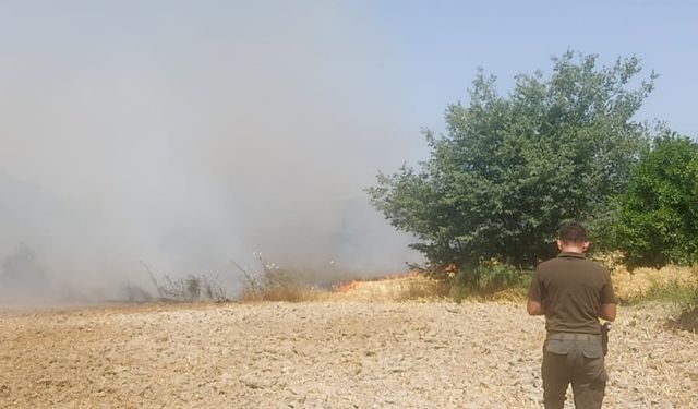 Ula’da ziraat arazisinde yangın