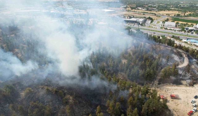 Yaklaşık 30 hektar alanın zarar gördüğü 2 ayrı yangınla ilgili olarak 3 şüpheli gözaltına alındı