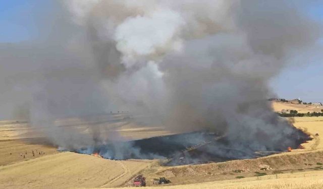 Yangında buğday ekili arazi kül oldu, tarla sahibi biçerdöver şoförünü darp etti