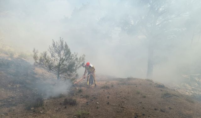 Balıkesir'de çıkan orman yangını kontrol altına alındı