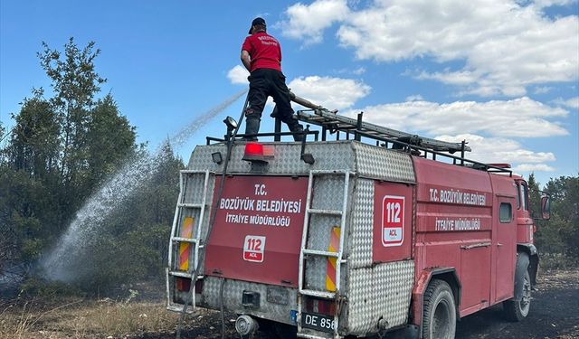 Bilecik’te arazi yangını söndürüldü