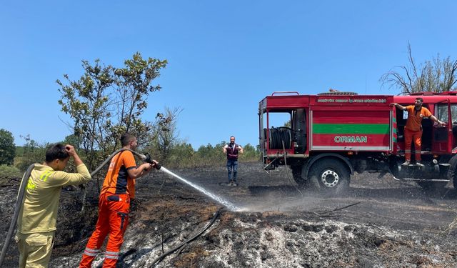 Bilecik’te arazi yangınında 30 dekar alan yandı