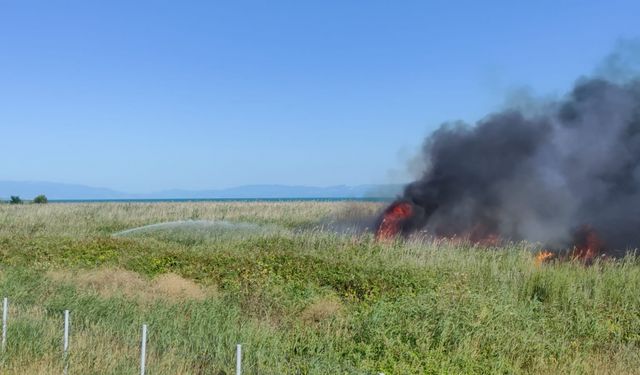 Bursa'da İznik Gölü kıyısındaki sazlık alanda yangın çıktı