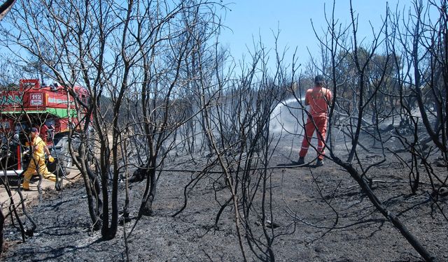 Çanakkale'de tarım arazisinde başlayıp ormana sıçrayan yangını söndürme çalışmaları sürüyor