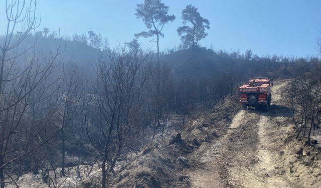 Çanakkale'nin Ayvacık ilçesinde çıkan orman yangını kontrol altına alındı