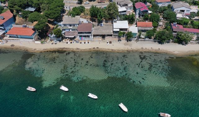 Denize girmelerini zorlaştırdığı için kepçeyle koruma altındaki deniz çayırlarını söktürdüler