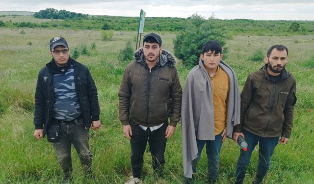 Edirne ve Kırklareli'nde 20 düzensiz göçmen yakalandı