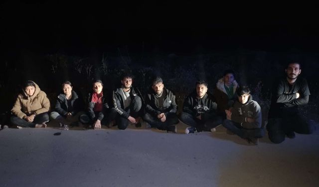 Edirne'de 10 düzensiz göçmen yakalandı