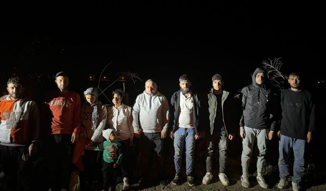 Edirne'de 16 düzensiz göçmen yakalandı