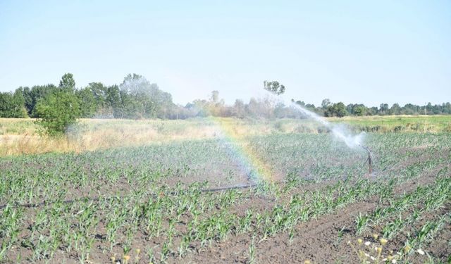 Edirne'de kapalı devre sulama sistemiyle 4 bin dekarlık tarım arazisi suyla buluşturuldu