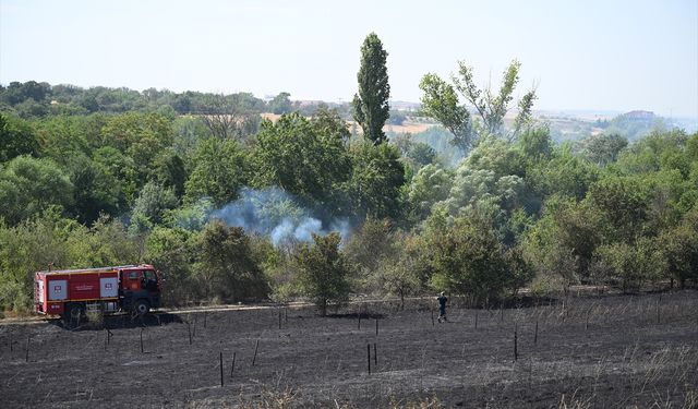 Edirne'de üniversitenin botanik bahçesinde  çıkan yangın söndürüldü