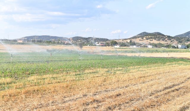 Edirne'de üretimin artırılması amacıyla 30 bin dekar arazi daha sulamaya açıldı