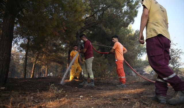 GÜNCELLEME 3 - Balıkesir'de çıkan orman yangınına müdahale ediliyor