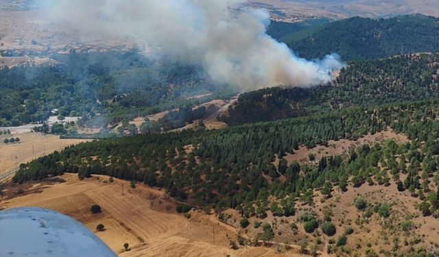 GÜNCELLEME - Balıkesir'de ormanlık alanda çıkan yangın kontrol altına alındı