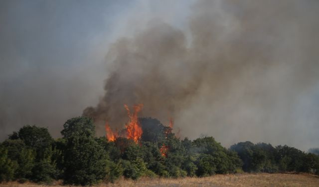 GÜNCELLEME - Çanakkale'de tarım arazisinde çıkıp ormanlık alana sıçrayan yangın kısmen kontrol altına alındı