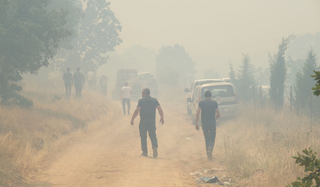 GÜNCELLEME - Edirne'de Bulgaristan sınırındaki orman yangınına müdahale ediliyor
