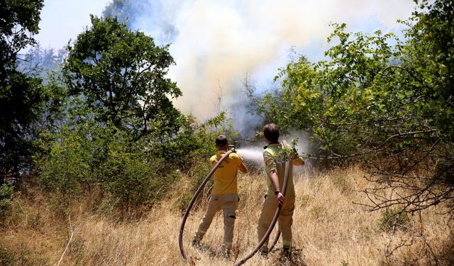 GÜNCELLEME - Kırklareli’nde ağaçlık alana sıçrayan yangın kontrol altına alındı