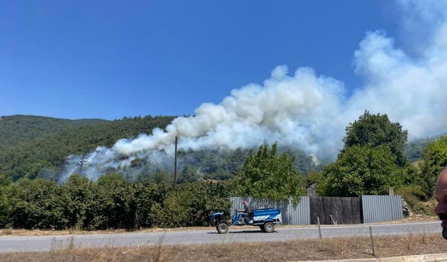 Sakarya'da çıkan yangında 10 hektarlık ormanlık alan zarar gördü