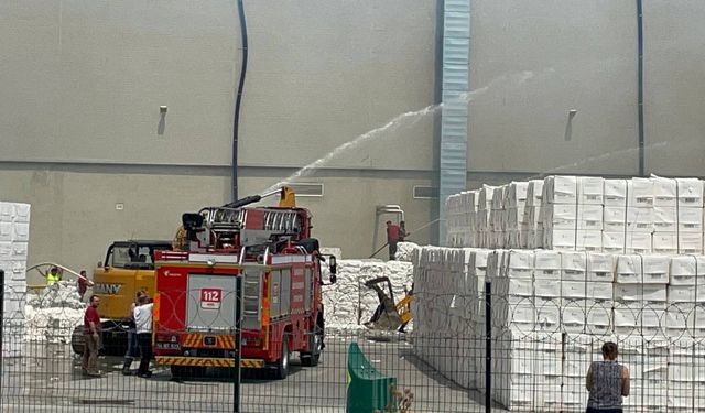Sakarya'da peçete fabrikasının bahçesinde çıkan yangın hasara yol açtı