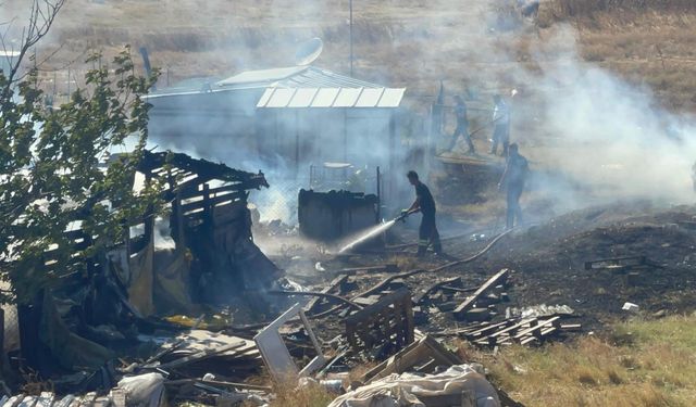 Tekirdağ'da çiftlikten tarım arazisine sıçrayan yangın söndürüldü