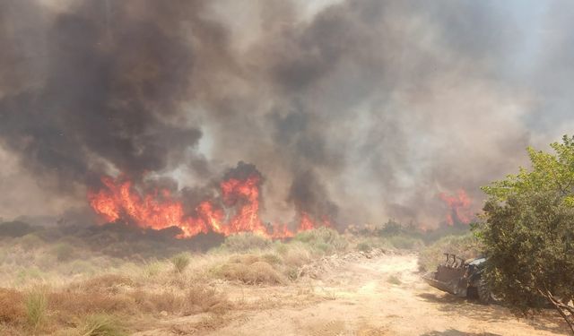 Tekirdağ'da makilik alanda çıkan yangına müdahale ediliyor