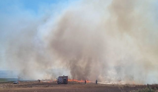 Tekirdağ'da piknik alanında çıkan ve tarım arazilerine sıçrayan yangın söndürüldü