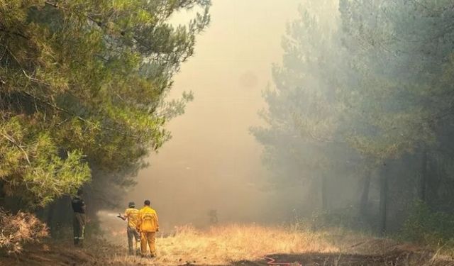Bursa’daki orman yangını hakkında dikkat çeken iddialar