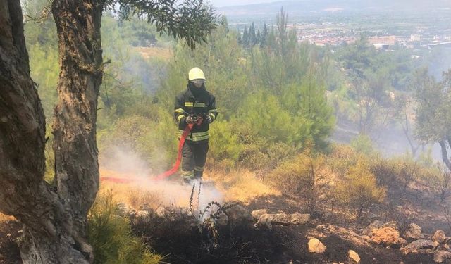 Manisa'da korkutan yangınlara Büyükşehir'den anında müdahale