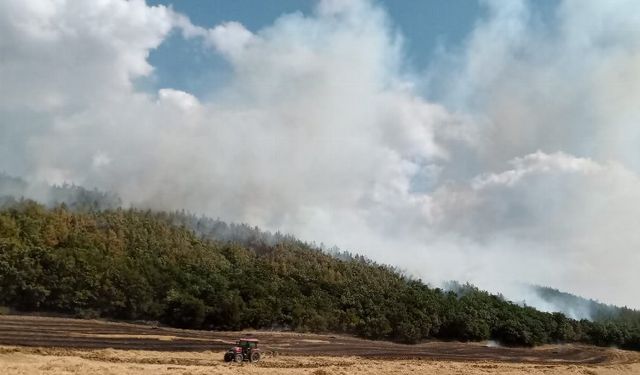 Orman İşletme Müdürü Ertunç Can Polat yangınlara karşı uyardı