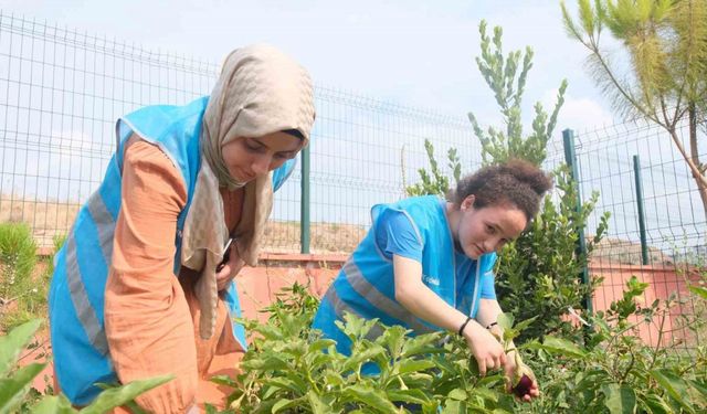 Adana Gençlik Merkezi üretiyor, çocuklar afiyetle yiyor