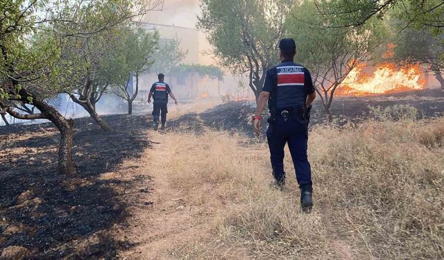 Adıyaman’da örtü yangını ormanlık alana sıçradı