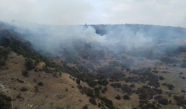 Afyonkarahisar’da ot ve çalıların bulunduğu dağlık alanda yangın çıktı